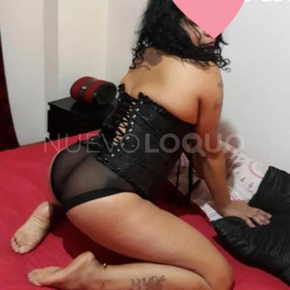 NuevoLoquo3