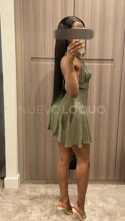 NuevoLoquo1