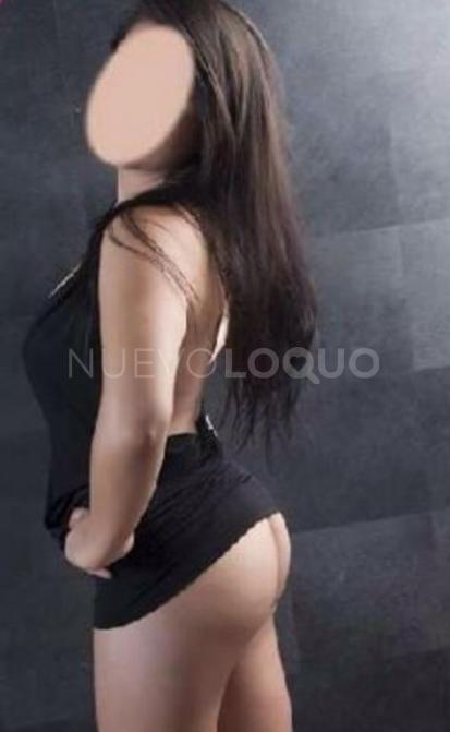 NuevoLoquo3