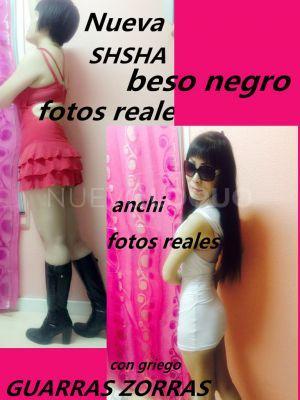 NuevoLoquo4