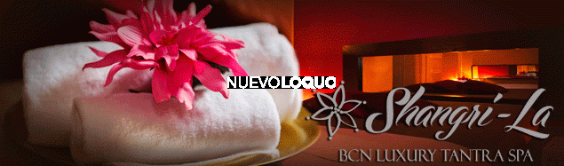 NuevoLoquo4