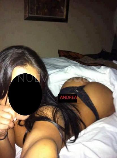 NuevoLoquo1
