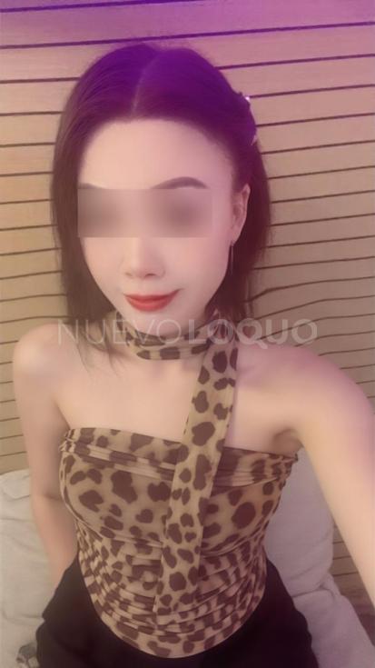 NuevoLoquo3