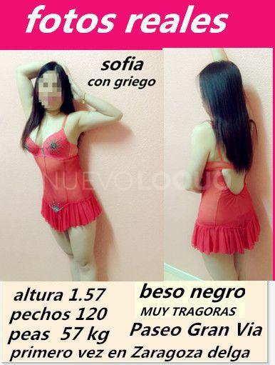 NuevoLoquo3