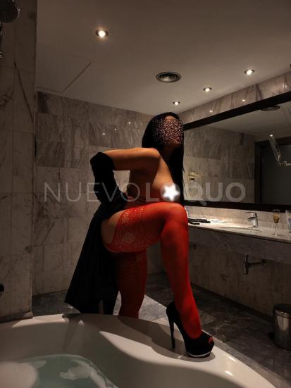 NuevoLoquo3
