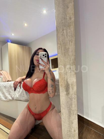 NuevoLoquo1