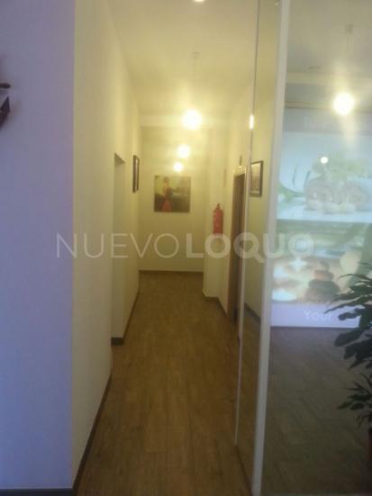 NuevoLoquo1