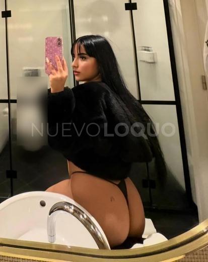NuevoLoquo4