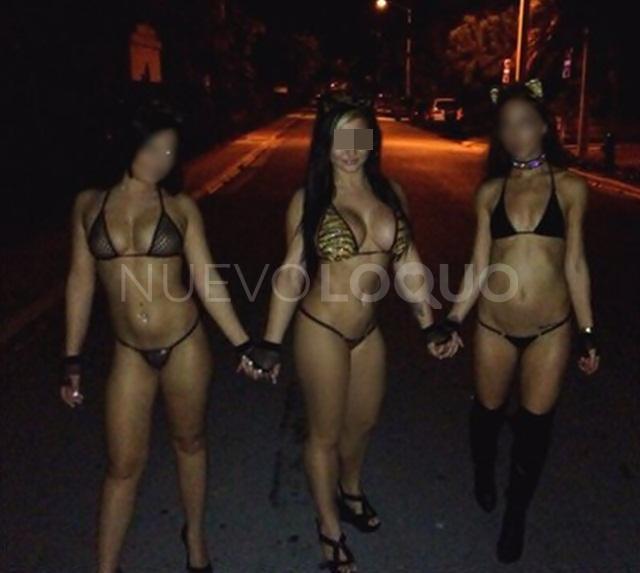 NuevoLoquo3
