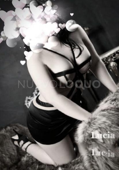 NuevoLoquo3