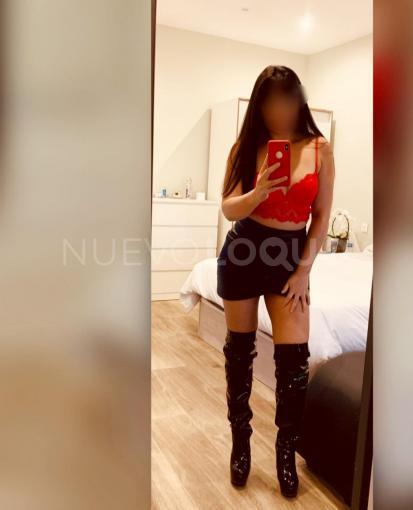 NuevoLoquo2