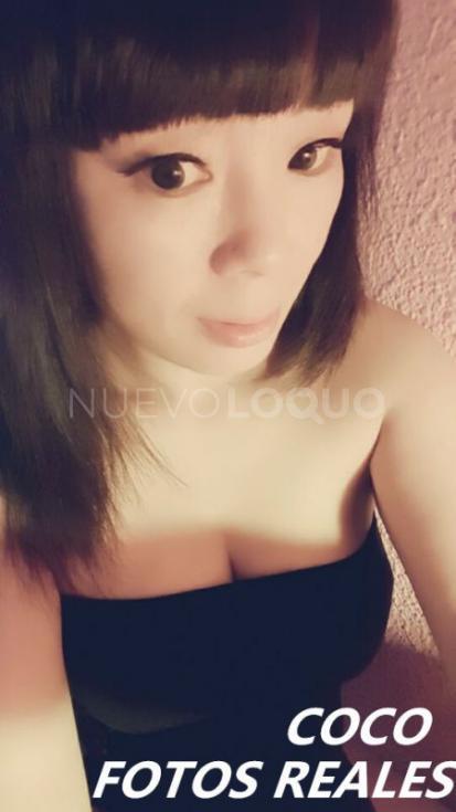 NuevoLoquo3