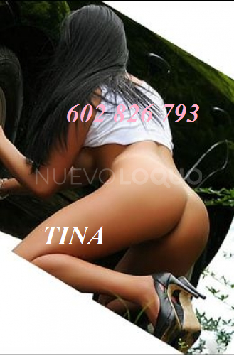 NuevoLoquo1