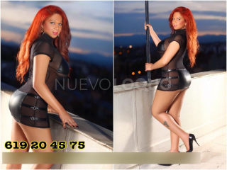 TRANS VANESSA DIVINELLI EXPERTA EN PRINCIPIANTES   HRS