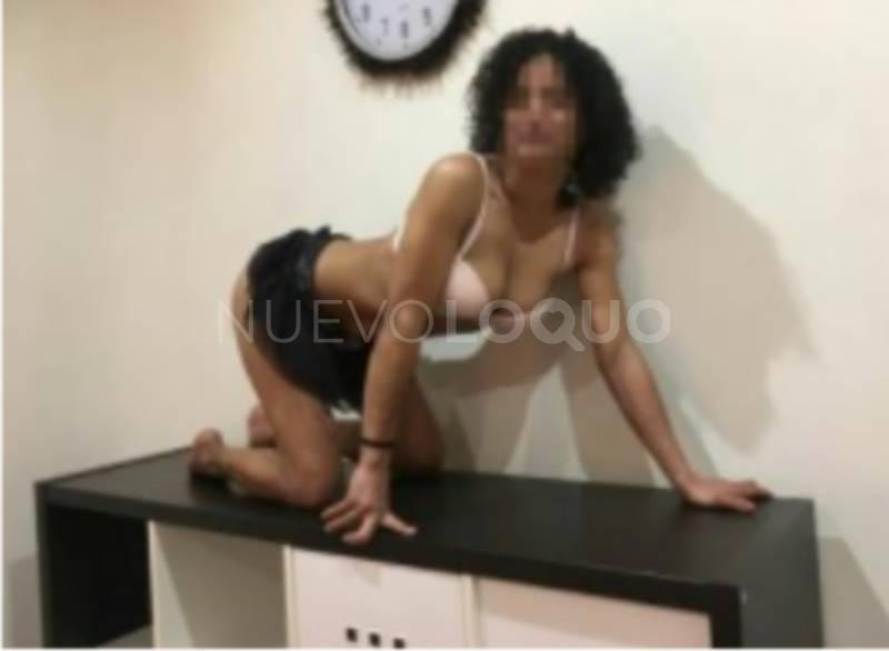NuevoLoquo3