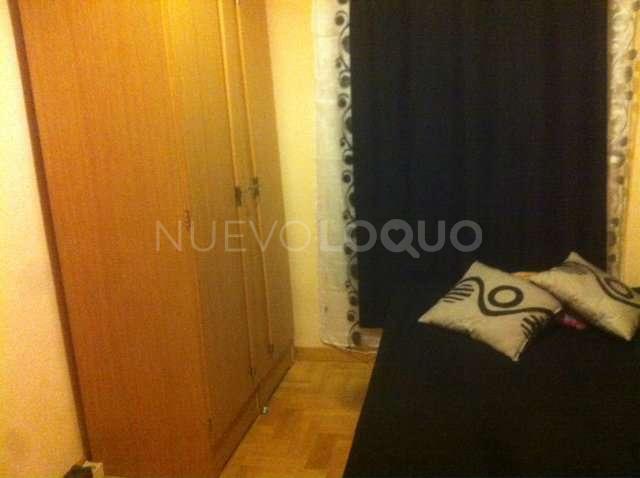 NuevoLoquo3
