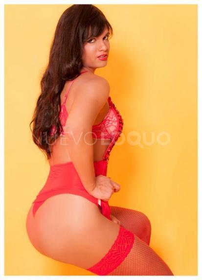 NuevoLoquo0