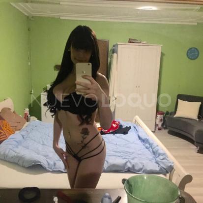 NuevoLoquo3