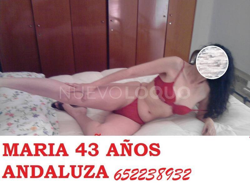 NuevoLoquo2
