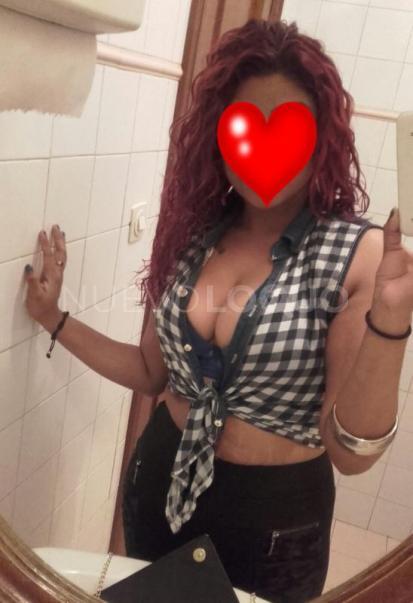 NuevoLoquo3