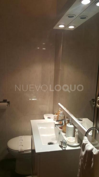 NuevoLoquo2