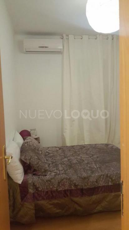 NuevoLoquo5