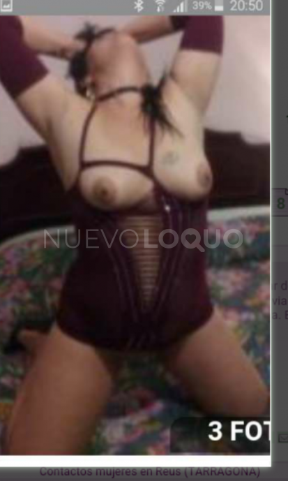 NuevoLoquo2