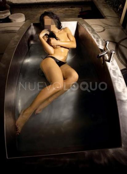 NuevoLoquo3