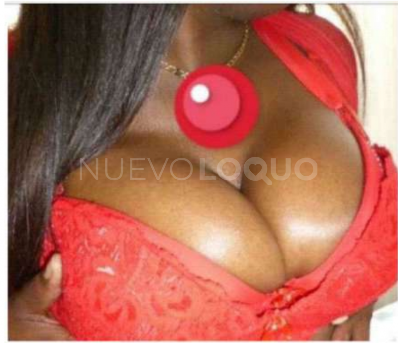 NuevoLoquo1