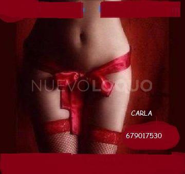 NuevoLoquo1