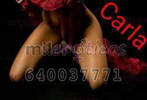 NuevoLoquo3