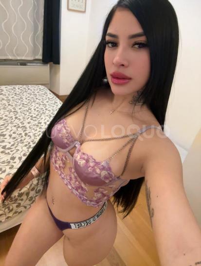 NuevoLoquo2