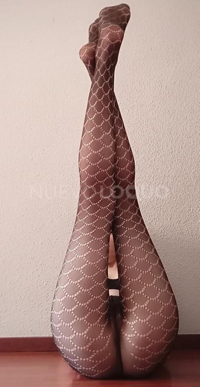 NuevoLoquo2