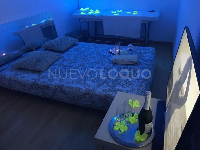 NuevoLoquo2