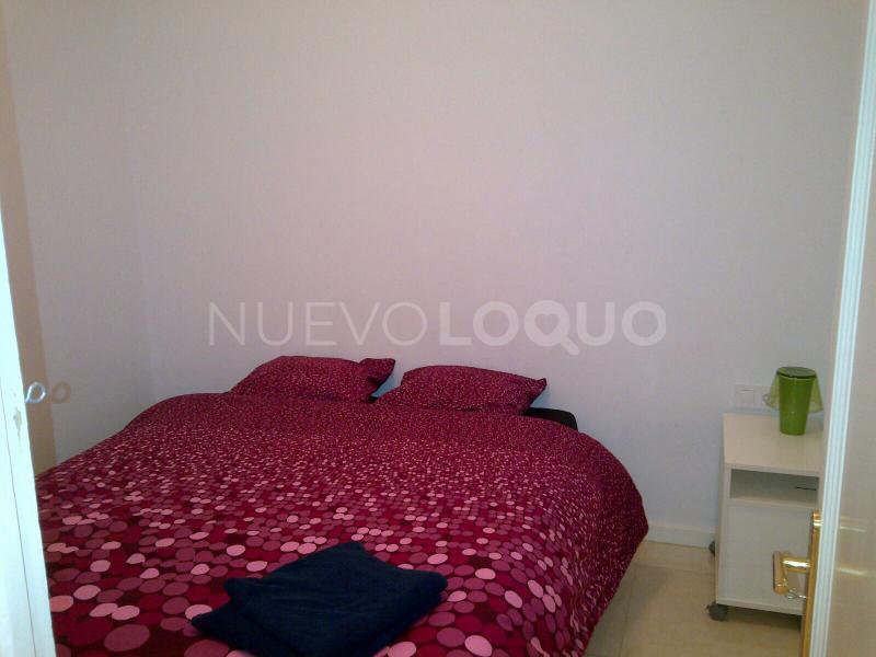 NuevoLoquo2