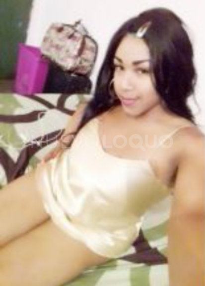 NuevoLoquo1