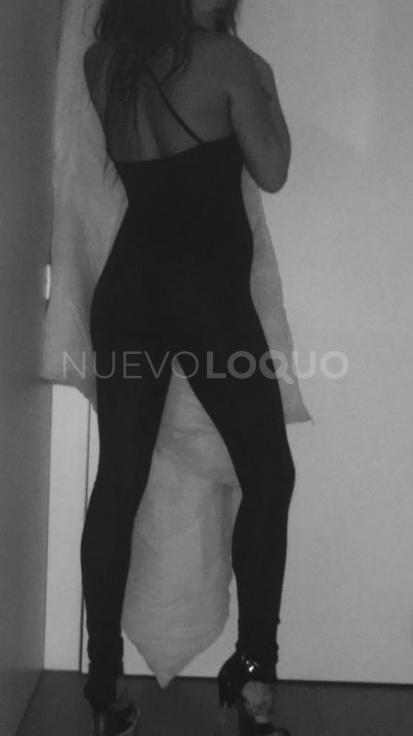 NuevoLoquo2