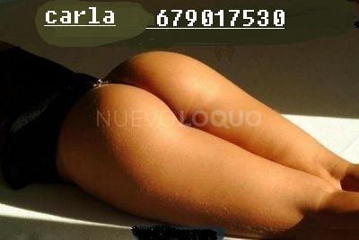 NuevoLoquo3