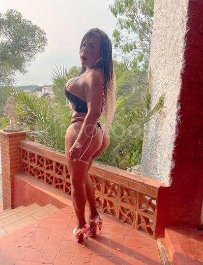 NuevoLoquo3