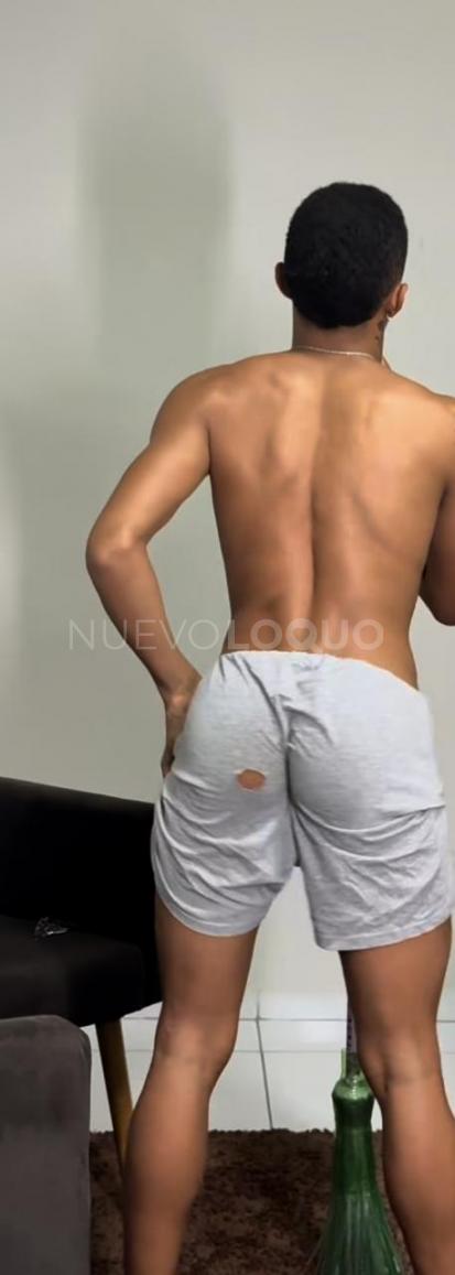 NuevoLoquo5