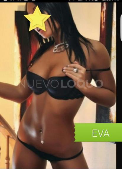 NuevoLoquo2