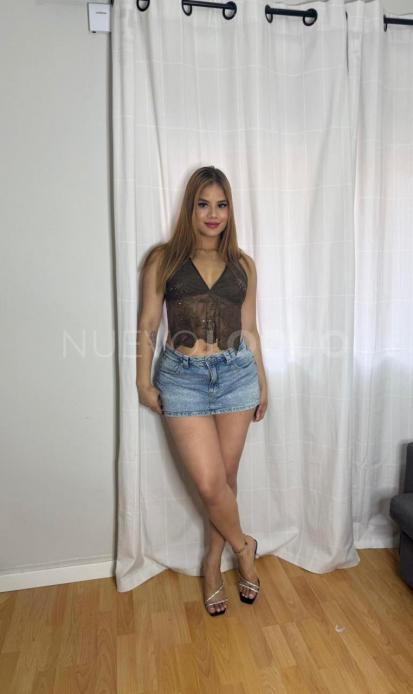 NuevoLoquo3