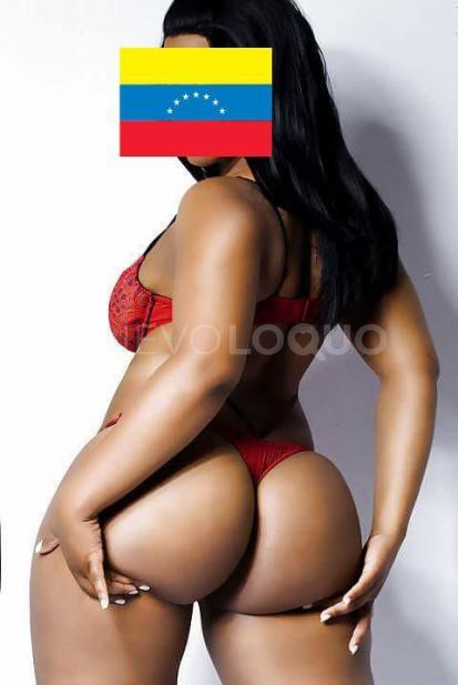 NuevoLoquo1