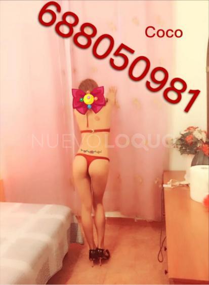 NuevoLoquo5