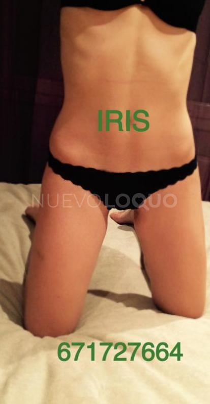 NuevoLoquo2