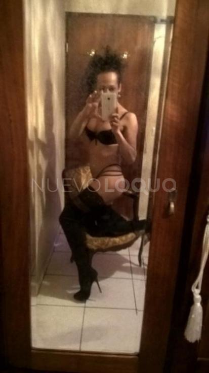 NuevoLoquo3