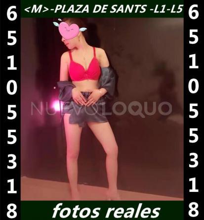 NuevoLoquo2