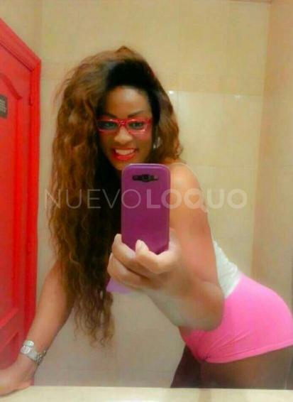 NuevoLoquo2