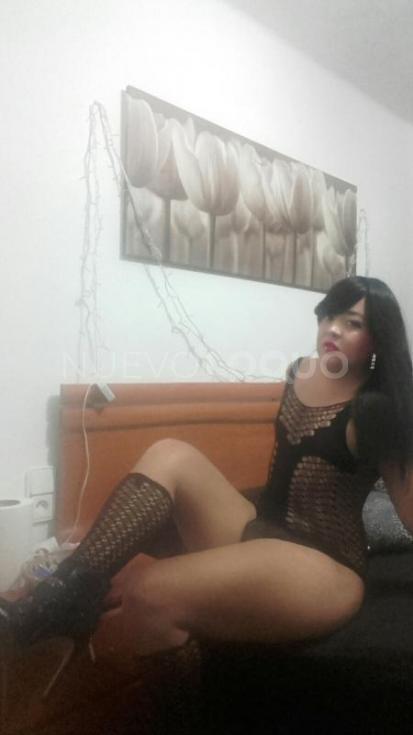 NuevoLoquo1