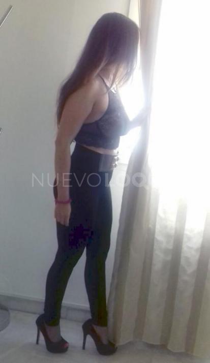 NuevoLoquo3
